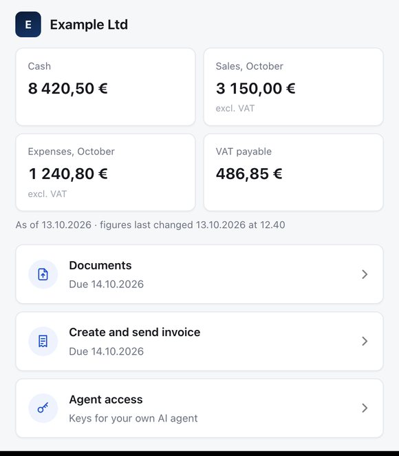 My overview: example company figures (cash, monthly sales and expenses, VAT payable), then Documents, Create and send invoice and Agent access for your company, with the due date shown.